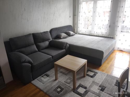 ein Wohnzimmer mit einem Sofa und einem Couchtisch in der Unterkunft SUMICE apartment in Belgrad
