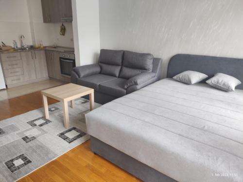 ein Wohnzimmer mit einem Bett und einem Sofa in der Unterkunft SUMICE apartment in Belgrad