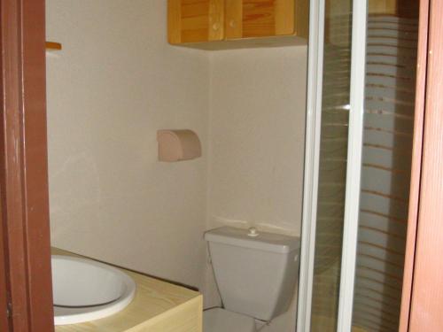 プラローニャン・ラ・ヴァノワーズにあるStudio Pralognan-la-Vanoise, 1 pièce, 2 personnes - FR-1-464-129の小さなバスルーム(トイレ、シャワー付)
