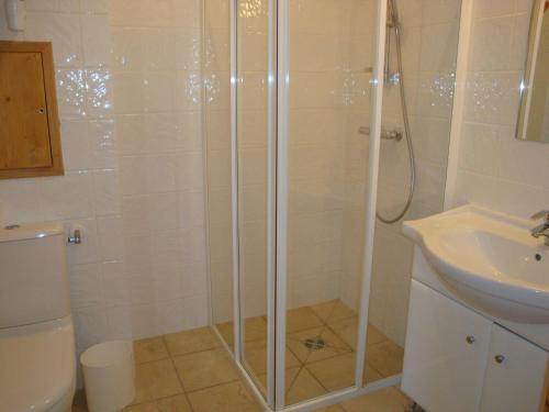 une salle de bain avec une douche, des toilettes et un lavabo dans l'établissement Studio cosy pour 2 - balcon, proche centre et téléphérique, animaux admis - FR-1-464-135, à Pralognan-la-Vanoise