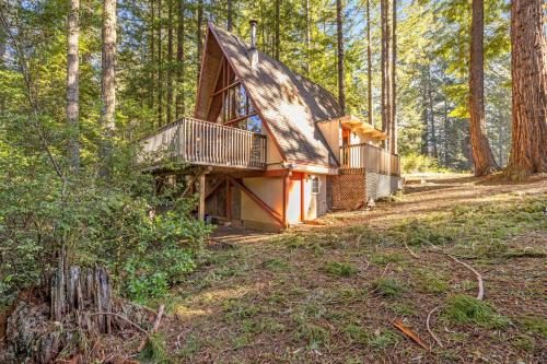 Star Nest – Photos 2
