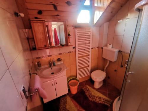 een kleine badkamer met een wastafel en een toilet bij Apartment Zlatibor Vesna in Zlatibor