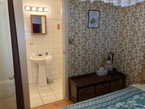 Baño pequeño con lavabo y aseo en St. George Hotel en Barkerville