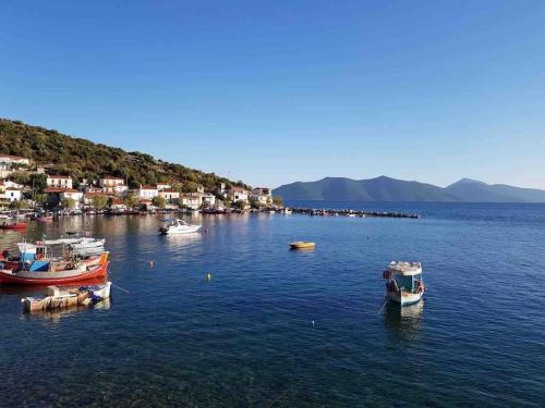 Φωτογραφία από το άλμπουμ του Σπίτι με απεριόριστη θέα στο Τρίκερι