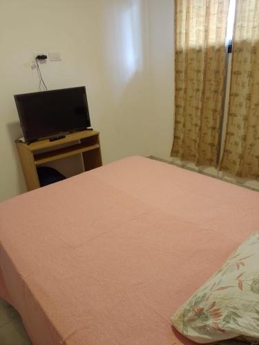 1 dormitorio con 1 cama y TV en una mesa en TUNUYAN Apart en Tunuyán