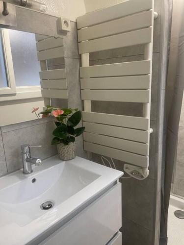 une salle de bain avec un lavabo et un miroir dans l'établissement Fontainebleau centre-ville, à Fontainebleau