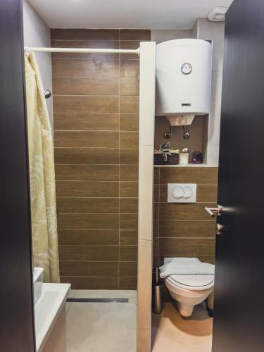 a bathroom with a toilet and a sink at Milmari Premier - Daisy Apartments in Kopaonik