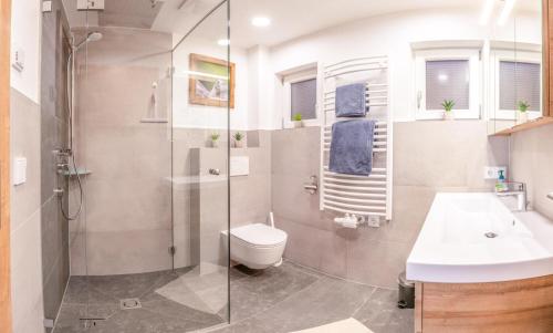 W łazience znajduje się prysznic, toaleta i umywalka. w obiekcie Koasa Appartement w mieście Scheffau am Wilden Kaiser