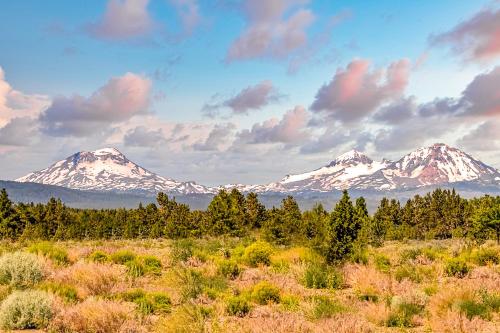 Six Mountain View – Photos 2