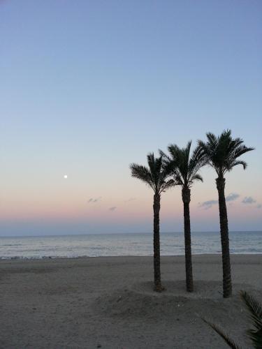 two palm trees on the beach at sunset at Maison Alriad - Alojamiento familiar tranquilo cerca del mar con jardín, porche y parking privado en el interior de la finca no apto para fiestas in Mojácar