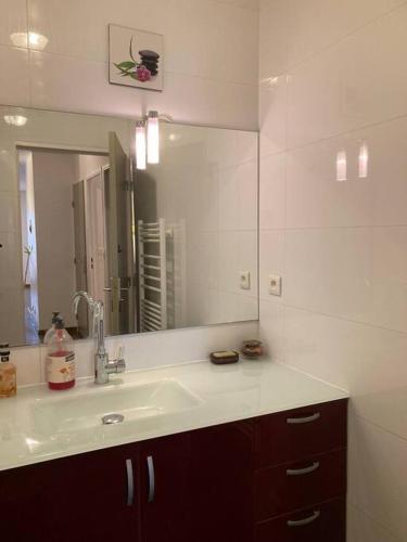 une salle de bain avec un lavabo et un grand miroir dans l'établissement T3 - 62m2 - parking privé - métro, à Toulouse