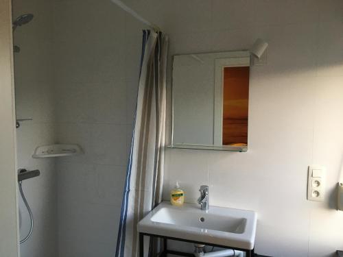 a bathroom with a sink and a shower and a mirror at Les Cerises, charmante maison au calme in Wavre