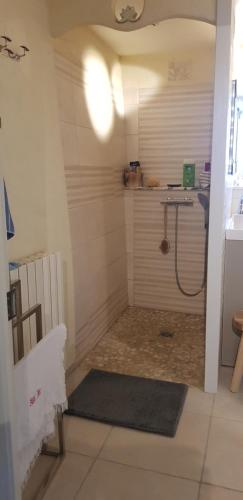 a bathroom with a shower with a hose at chambre familiale 4 pers SDB partagée sans TV in Le Saint