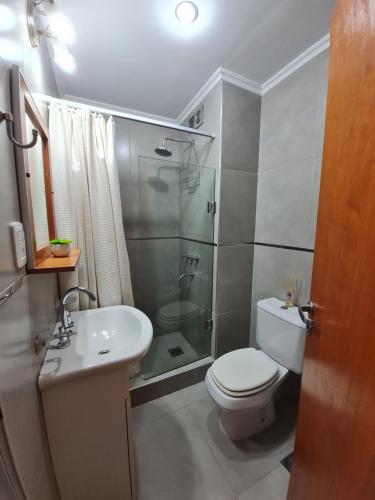 a bathroom with a toilet and a shower and a sink at Resistencia City Apartment in Resistencia