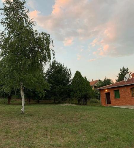 a tree in a yard next to a house at Cottage House Official in Niš