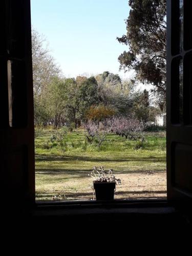 Casa Quinta – Photos 2