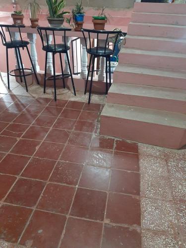 a tile floor with chairs and a table with plants at B&B KeisyAlba Punta Rucia in Punta Rucia