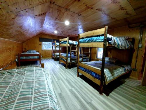 a room with three bunk beds in a cabin at Refugio de Montaña Sollipulli, Lodge Nevados de in Melipeuco