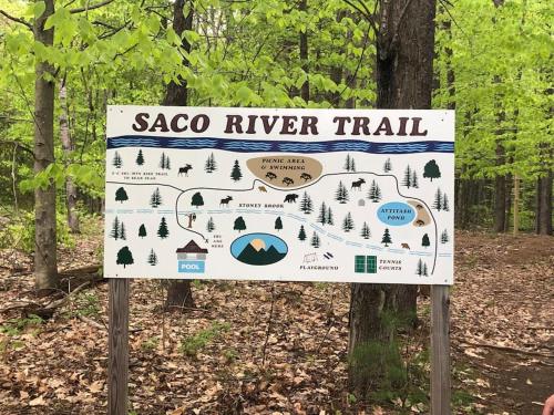 a sign for a saeco river trail in the woods at Attitash Mountain Village Studio - Slope View - Ski - Storyland in Bartlett