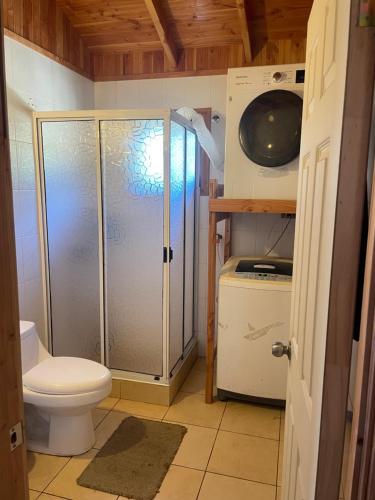 y baño pequeño con aseo y ducha. en Cabaña en Licanray, en Villarrica