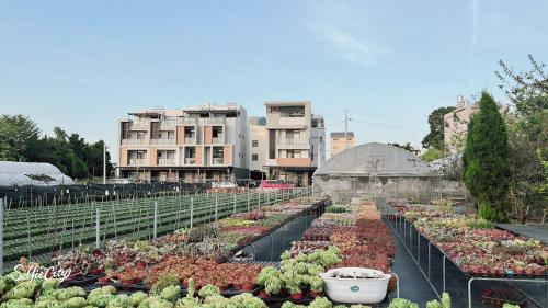 a greenhouse filled with lots of different types of plants at Beauty Chen's House #3 in Tianwei