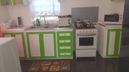 a kitchen with green and white cabinets and a sink at El Palacio Apartments in Bridgetown