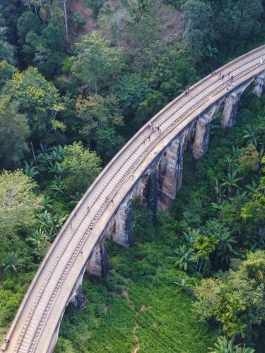 a train track on a bridge in the jungle at Ella nine arch spice garden in Ella