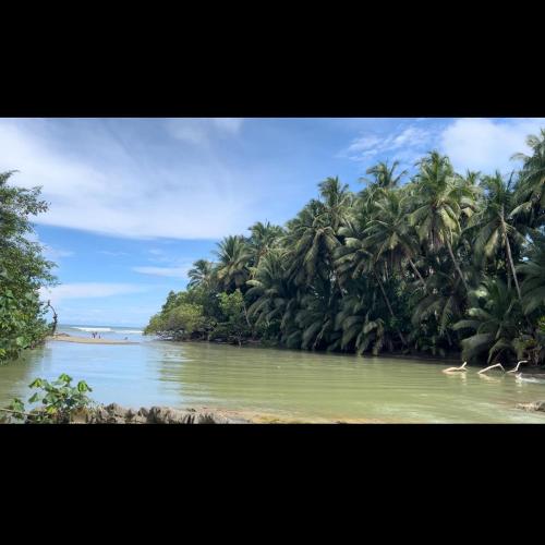 Jungle Cabin Cabuya – Photos 2