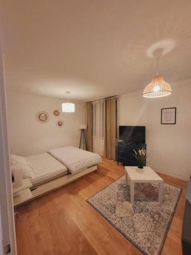 une chambre avec un lit, une table et une télévision dans l'établissement Appartement T1 bis 35m2 ANNECY proche centre ville, à Annecy