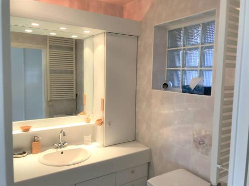 ein Badezimmer mit einem Waschbecken, einem Spiegel und einem WC in der Unterkunft Appartement Perros-Guirec, 2 pièces, 4 personnes - FR-1-368-293 in Perros-Guirec