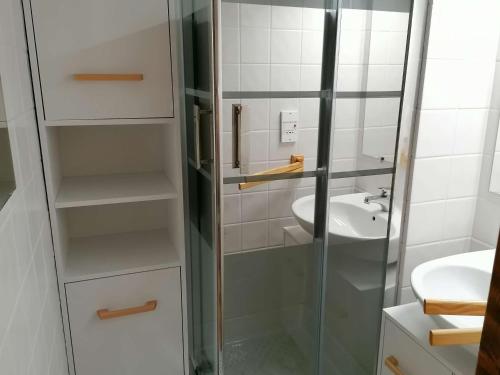 W łazience znajduje się szklana kabina prysznicowa i umywalka. w obiekcie Appartement Le Grand-Bornand, 1 pièce, 4 personnes - FR-1-241-176 w mieście Le Grand-Bornand