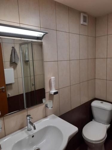 a bathroom with a sink and a toilet and a mirror at Apartment Svetoslava in Pamporovo