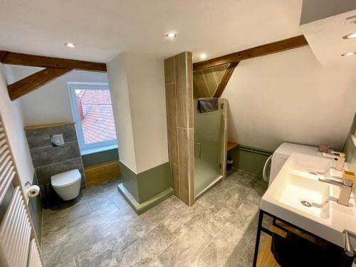 a bathroom with a shower and a sink and a toilet at Le Petit Linck - Typique au coeur de Colmar in Colmar