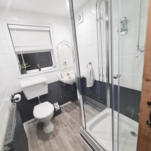 a bathroom with a toilet and a sink and a shower at North Coast Property - North Coast Cottage in Thurso