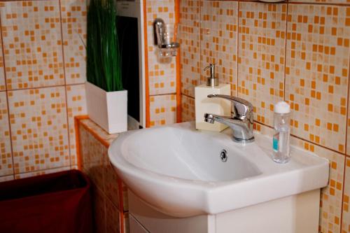 un lavabo blanco en un baño con una planta verde en House of colors, en Petroşani