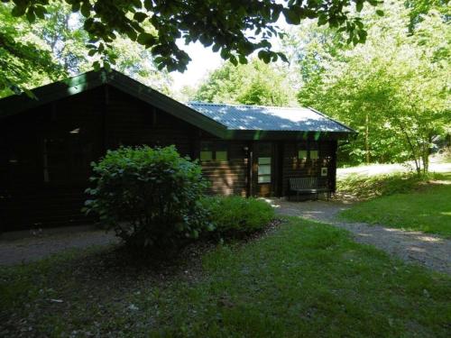 a log cabin in the middle of a park at Twistesee Ferienhaus 110 in Bad Arolsen