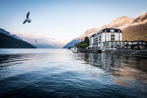a bird flying over a body of water with a building at Seehotel Waldstätterhof Swiss Quality in Brunnen