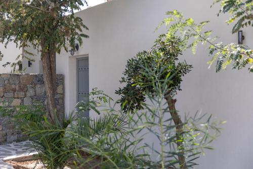 a white building with trees in front of it at Naxos green Village hotel in Naxos Chora