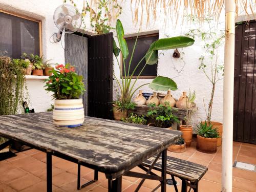 Κήπος έξω από το Casa Nomad