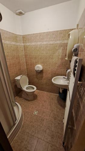 uma casa de banho com um WC e um lavatório em Pension PAVIR em Židlochovice