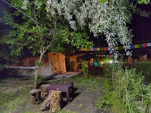 a garden with a table and a tree in the yard at Tongspon Camp Nubra in Charāsa