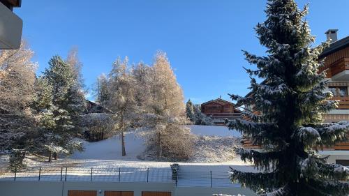 La Jacinthe de Crans durante el invierno