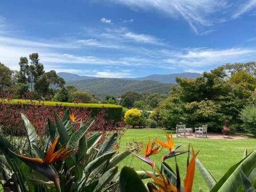a view of a garden with mountains in the background at Mon Desir in Chum Creek