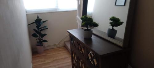 dois vasos de plantas sentados numa cómoda numa sala em Comfortable double room em Londres
