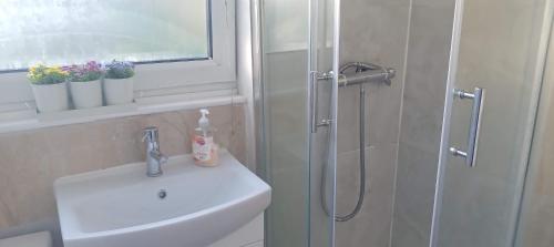 uma casa de banho com um chuveiro, um lavatório e um chuveiro em Comfortable double room em Londres