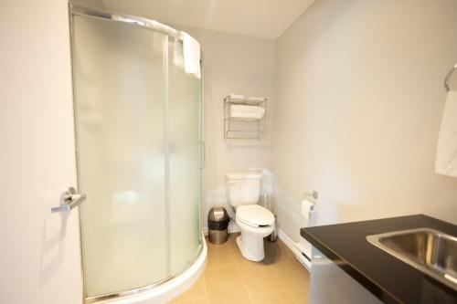 a bathroom with a shower and a toilet and a sink at Le Chic-Urbain in Rouyn
