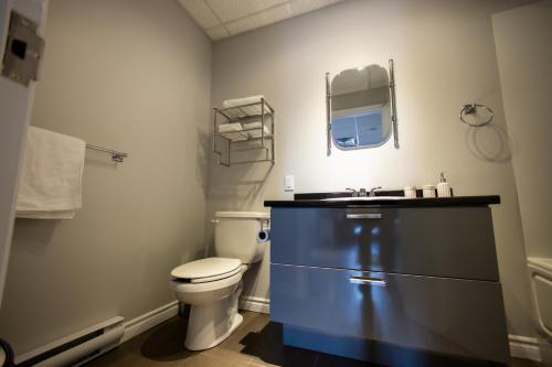a bathroom with a toilet and a sink at Le Chic-Urbain in Rouyn