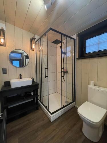 a bathroom with a shower and a toilet and a sink at Ieviņi atpūtas vieta in Bānūži