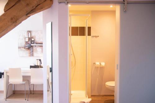 uma casa de banho com um chuveiro e um WC. em Hôtel Gallia em Aix-les-Bains