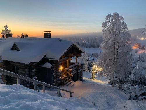 una cabaña de madera en la nieve con un árbol en Villa Sukka en Kuusamo